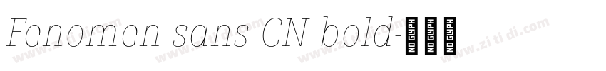 Fenomen sans CN bold字体转换